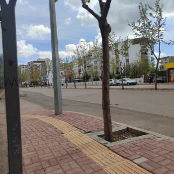 Minibüs Seferleri Yetersizliği: Acil Çözüm Bekleniyor