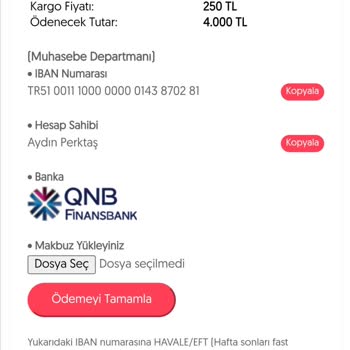 Yanıltıcı Ödeme Yönlendirmesi