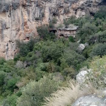 Karnaval Tour İle Hayal Kırıklığı Dolu Karadeniz Turu