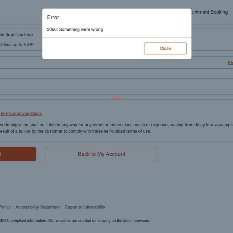 VFS Belge Yükleme Sorunu: Global Bir Problem Mi?