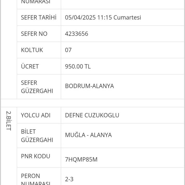 Kaybolan Bagaj Ve İlgisiz Müşteri Hizmetleri