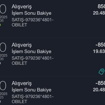 Ödeme Alındı, Bilet Gönderilmedi: Çözüm Bekliyorum