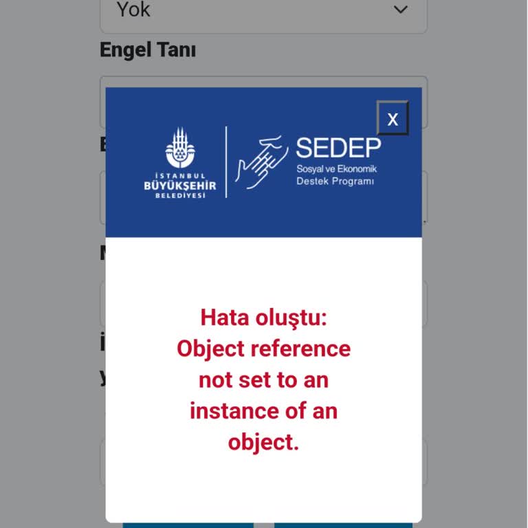 Evlilik Desteği Başvurusunda Hata Sorunu
