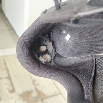 Adidas Ayakkabının Hızla Deformasyonu Ve Değişim Sorunu