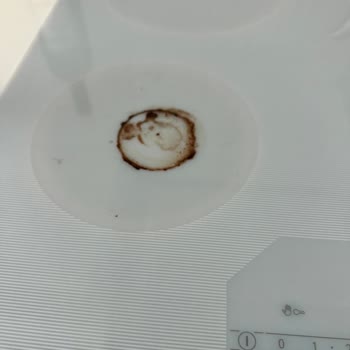 Bosch Ocak: Kalitesiz Ürün Ve Güvenlik Sorunları