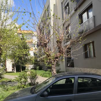 İzmir Buca'da Tehlike Saçan Düşen Telefon Kablosu