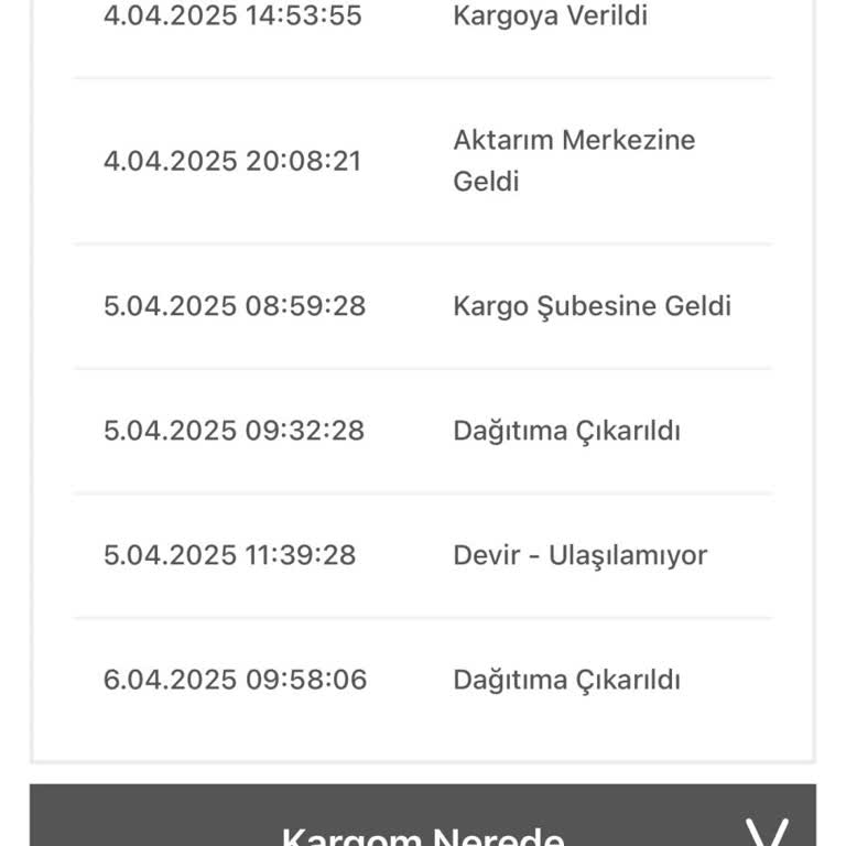 Kargo Teslimatında Yaşanan Sorunlar Ve Bekleme Çilesi