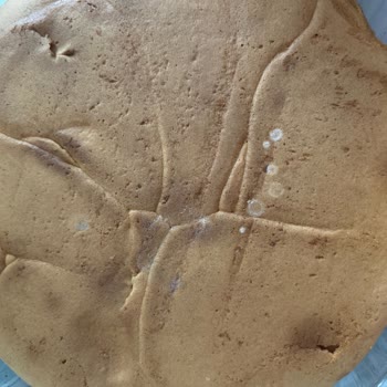 Küflü Pasta Şoku: Sağlık Ve Güvenilirlik Tehlikede