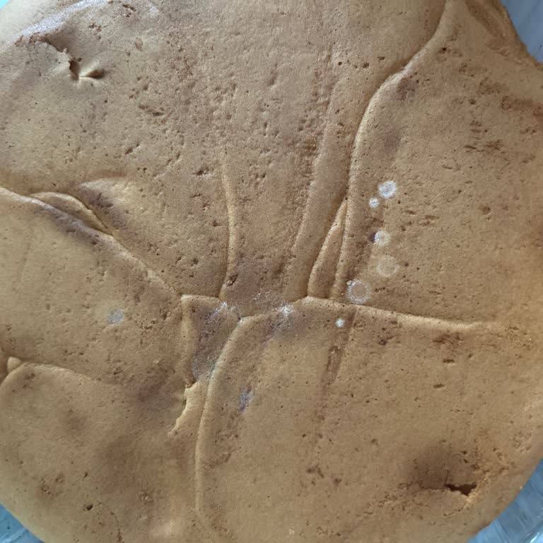 Küflü Pasta Şoku: Sağlık Ve Güvenilirlik Tehlikede