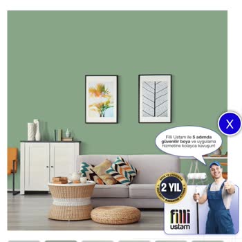 Filli Boya'nın Kaktüs 60 Renk Hayal Kırıklığı