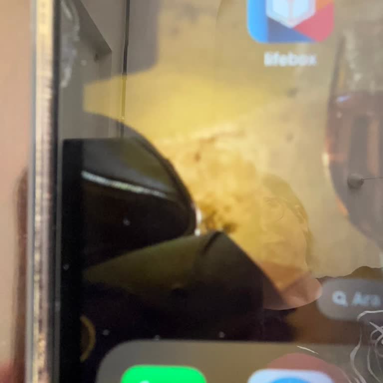 Lifebox'ta Kayıp Anılar: Erişim Sorunu Ve Destek Eksikliği