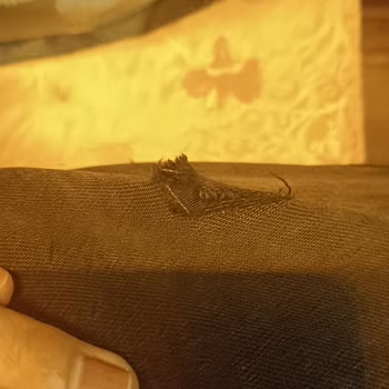 Tatvan Şubesinde Güvenlik Sorunu