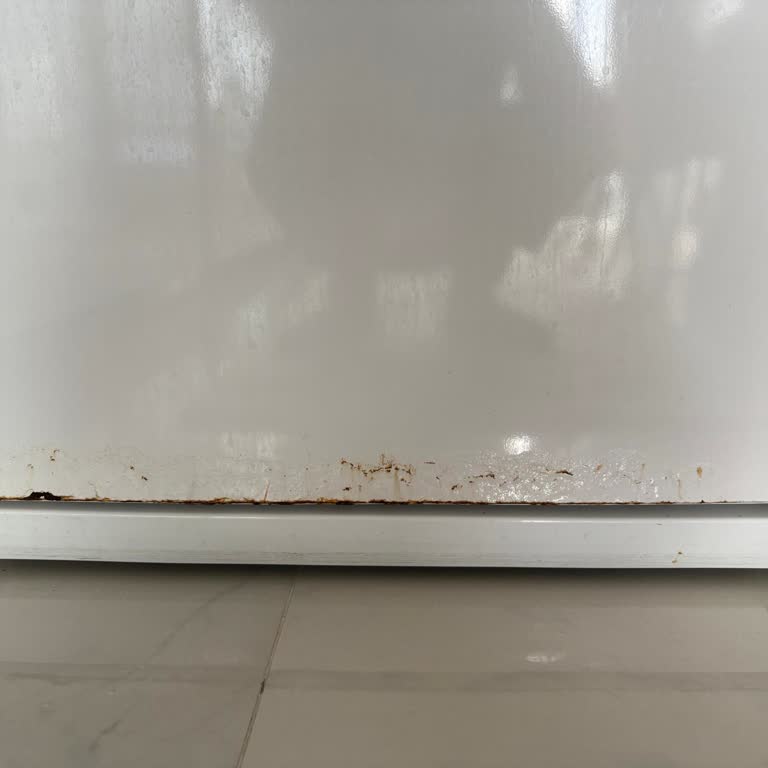 Arçelik Buzdolabında Beklenmedik Paslanma Sorunu