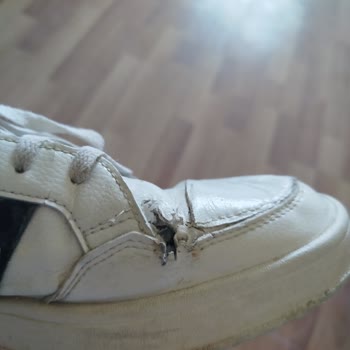 Orijinal Adidas Ayakkabının Hızla Parçalanması Ve Hayal Kırıklığı
