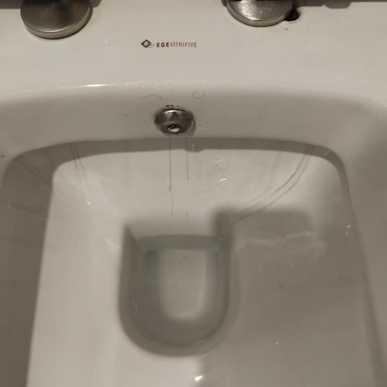 Ege Vitrifiye Klozetlerde Siyah Leke Sorunu
