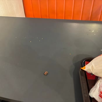 Hijyen Sorunları Ve İlgisiz Çalışanlar
