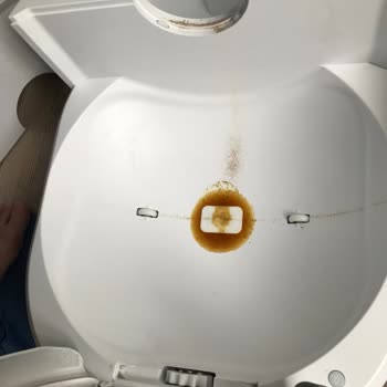 Hatalı Otomatik Kedi Tuvaleti: Sızdırma Ve Koku Sorunu