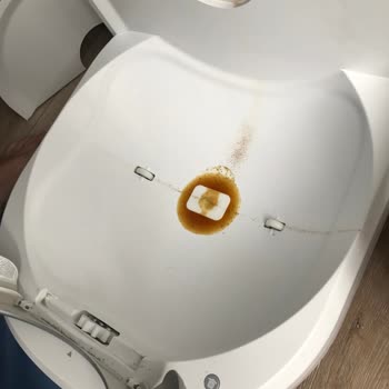 Hatalı Otomatik Kedi Tuvaleti: Sızdırma Ve Koku Sorunu