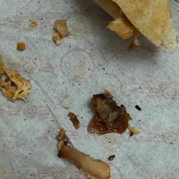 X-sos Döner Telsizler, Dönerden Kemik Parçası Çıktı!