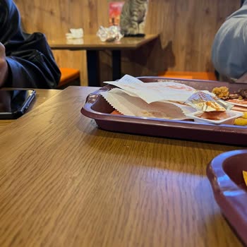 Kedilerle Dolu Restoranda Yemek Yeme Mücadelesi