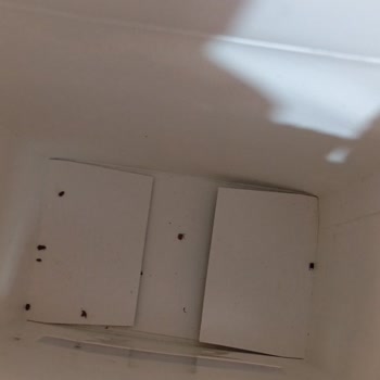 Migros'ta Böcekli Ürün Ve Ulaşılmaz Müşteri Hizmetleri