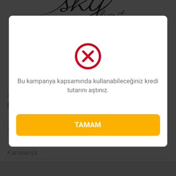 Kredi Kullanım Sınırı Sorunu