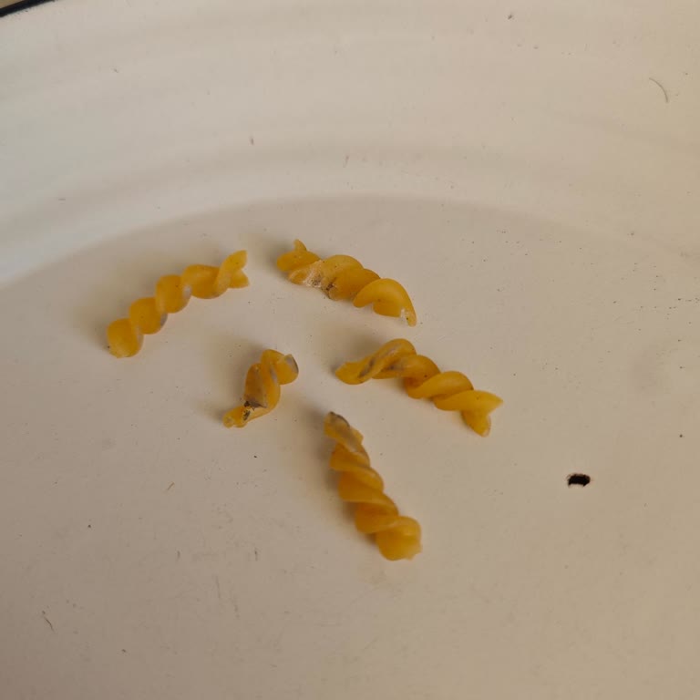 Piyale Makarna Paketlerinde Şüpheli Renkler Ve Güvenlik Endişesi