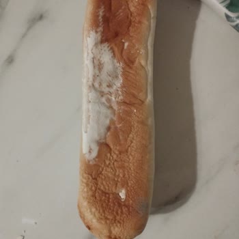 Küflü Sandviç Ekmeği Şoku