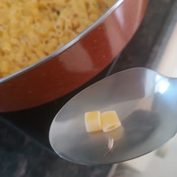 Makarna Paketinde Böcek Şoku