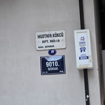 Hasta Kedinin Durumu İçin Acil Yardım Talebi