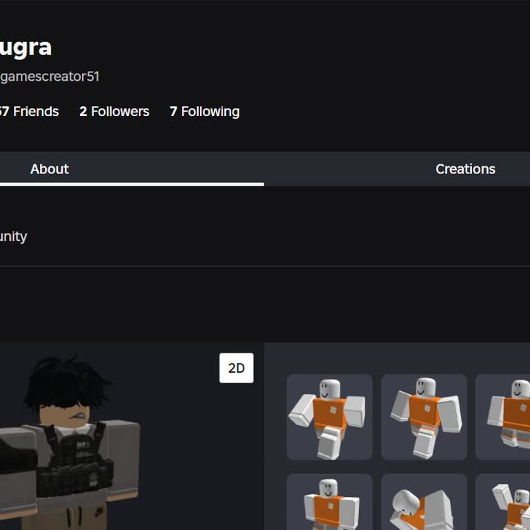 Roblox Hesabımın Güvenliği Ve Destek Sorunları