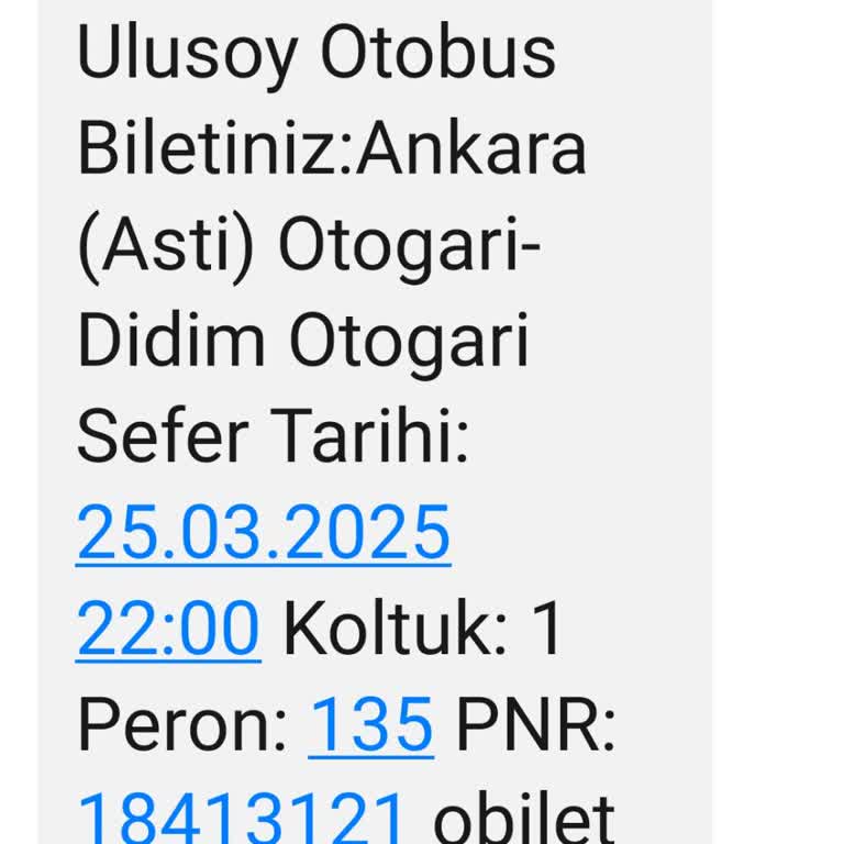 Otobüs Yolcusunu Unuttu: İzmir'de Mağduriyet