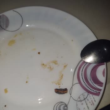 Ceviz Kabuğu Yüzünden Diş Tedavisi Zorlaştı