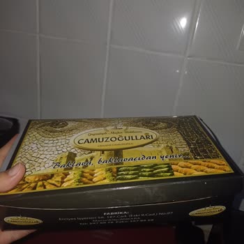 Ceviz Kabuğu Yüzünden Diş Tedavisi Zorlaştı