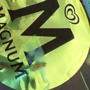 Magnum Dondurmada Kurt Şoku!