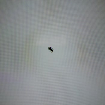 Televizyon Ekranında Örümcek: Senna TV'nin Müşteri Hizmetleri Hayal Kırıklığı