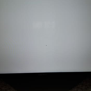 Televizyon Ekranında Örümcek: Senna TV'nin Müşteri Hizmetleri Hayal Kırıklığı