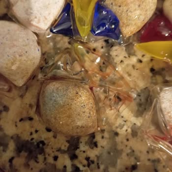 Aldığımız Ürün Patlak Çıktı, İade Kabul Edilmiyor