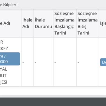 E-devlet | Turkiye.gov.tr Hak Sahipliği Belirsizliği Ve Bilgi Eksikliği