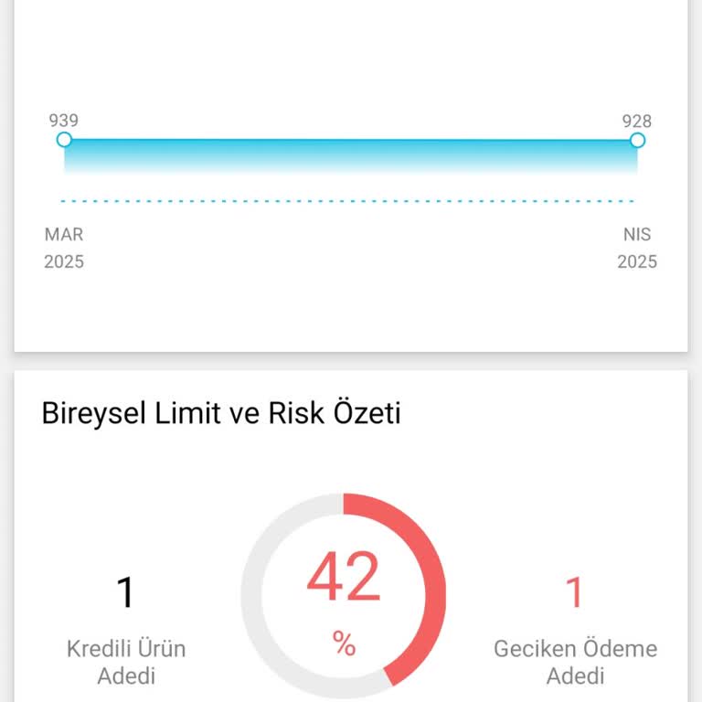 Kredi Kartı Ekstresi Ve Puan Düşüşü Sorunu