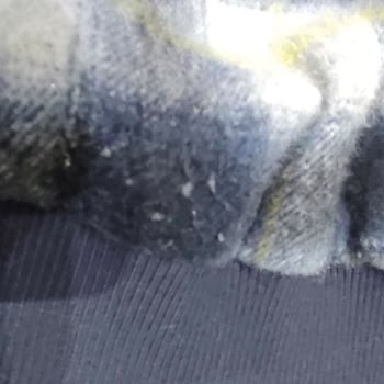 Gizia Mağazasından Aldığım Ürünlerde Renk Verme Ve Kalite Sorunu