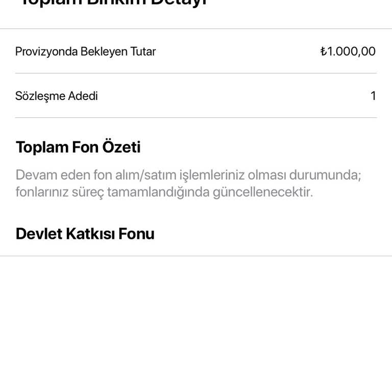 BES Provizyon Süresi Sorunu: Birikim Beklemede