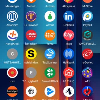 Armut Uygulamasında Giriş Ve Hizmet Seçimi Sorunu