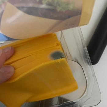 Küflü Peynir Şoku: Migros'tan Aldığım Ürün Hayal Kırıklığı Yarattı