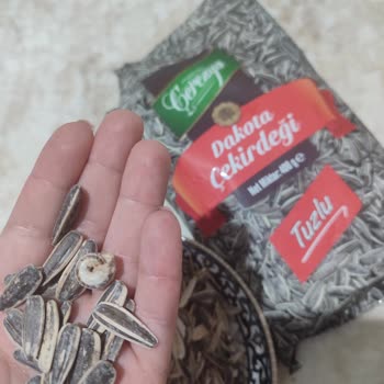 Çerezya Çekirdekte Salyangoz Kabusu!