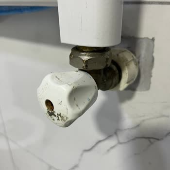 Temizlik Hizmetinde Hayal Kırıklığı