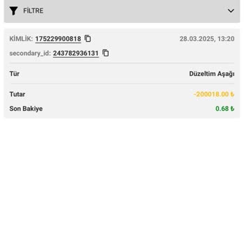 Hesap Bakiyemin Silinmesi Ve Lisans Sorunu