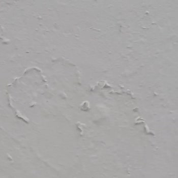 Nescoat Garantörlük Vaadi Yerine Getirilmedi: Boya Ve Sıva Sorunları