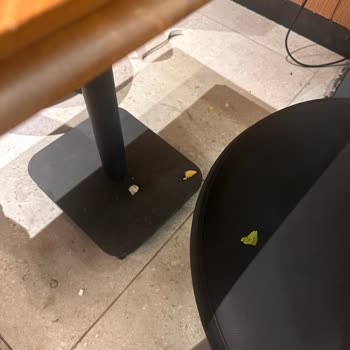 Tavuk Dünyası'nda Hizmet Ve Hijyen Sorunu