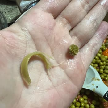 Bebek Yemeğinde Tehlikeli Yabancı Maddeler